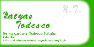 matyas todesco business card